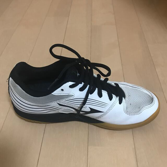 MIZUNO(ミズノ)のバレーシューズ メンズの靴/シューズ(スニーカー)の商品写真