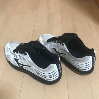 ミズノ(MIZUNO)のバレーシューズ(スニーカー)