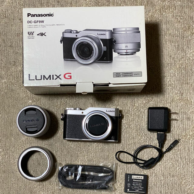 Panasonic LUMIXD DC-GF9W