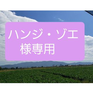 ハンジ・ゾエ様専用です！(その他)