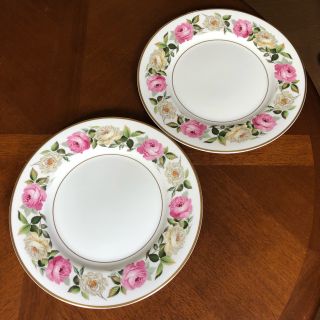 ロイヤルウースター(Royal Worcester)の【レア美品】ロイヤルウースター★ロイヤルガーデン★ディナー皿　2枚(食器)