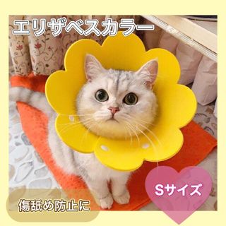 【数量限定】エリザベスカラー　Sサイズ　術後　犬　猫　傷舐め防止(猫)