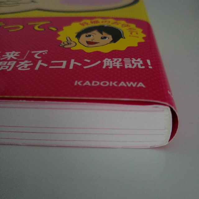 角川書店(カドカワショテン)の妊娠・出産を安心して迎えるために産婦人科医きゅ－先生の本当に伝えたいこと エンタメ/ホビーの雑誌(結婚/出産/子育て)の商品写真