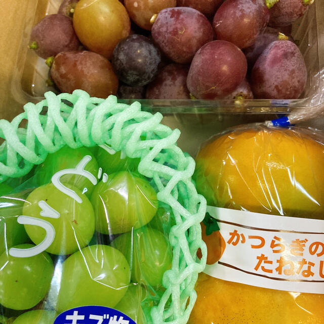 ヒロ様専用 食品/飲料/酒の食品(フルーツ)の商品写真