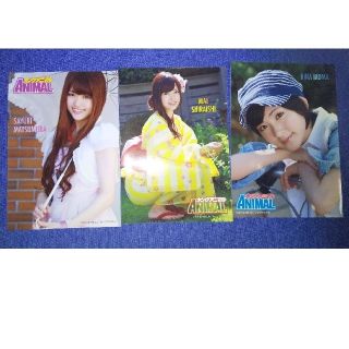 乃木坂46 生写真(アイドルグッズ)