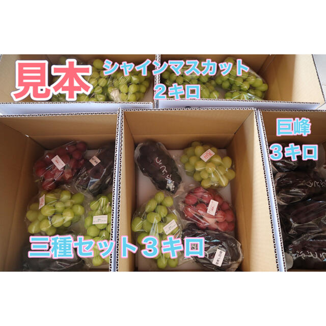 天山（てんざん）　家庭用　３キロ　長野県産　減農薬　濃厚！珍しい！ 食品/飲料/酒の食品(フルーツ)の商品写真