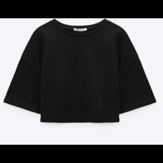 ザラ(ZARA)のZARA プラッシュジャージー地フーディスウェット　(トレーナー/スウェット)