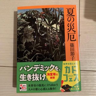 夏の災厄(文学/小説)