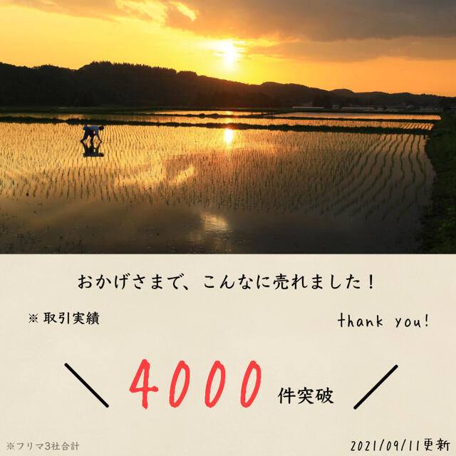 令和2年産 コスパ米 生活応援米 20kg 米びつ当番プレゼント付き お米 激安 食品/飲料/酒の食品(米/穀物)の商品写真