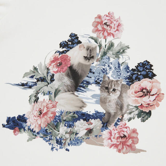 PAUL & JOE(ポールアンドジョー)のポール＆ジョーグラフィックTシャツUT猫ユニクロレディースUNIQLO半袖L レディースのトップス(Tシャツ(半袖/袖なし))の商品写真