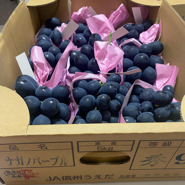 ナガノパープル　2房　秀品　長野県産　ぶどう 食品/飲料/酒の食品(フルーツ)の商品写真