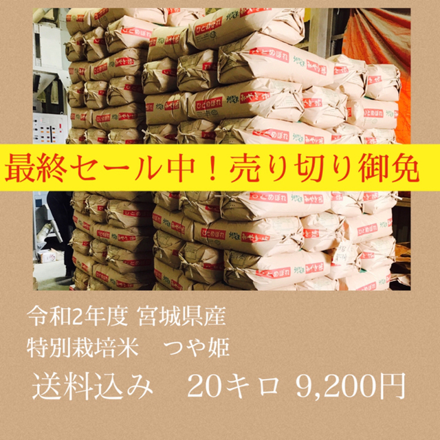 優先配送 最終セール!!宮城県産つや姫20キロ 米/穀物 優先配送 最終セール!!宮城県産つや姫20キロ 米/穀物