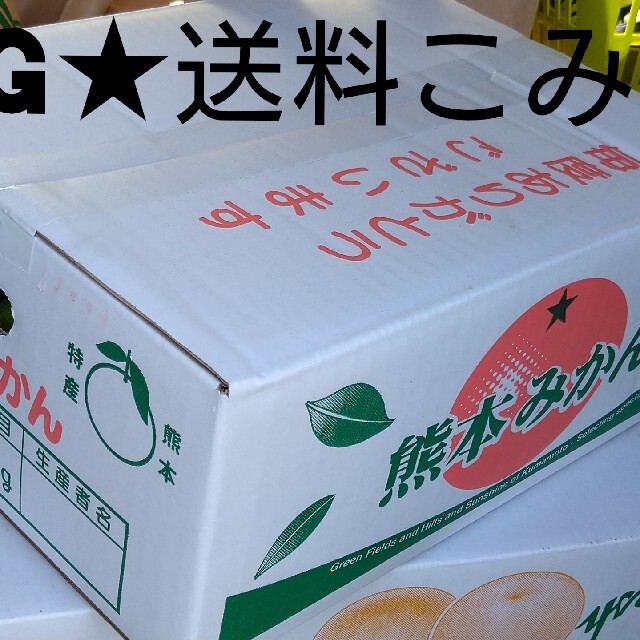 2Sサイズ【送料無料】熊本産極早生みかん“肥のあかり”5kg 食品/飲料/酒の食品(フルーツ)の商品写真