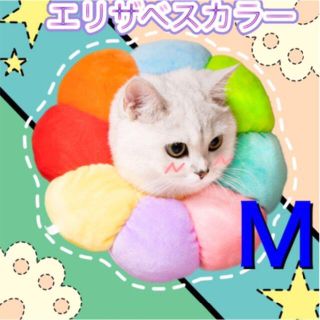 人気です❣️エリザベスカラー Mサイズ　犬/猫 傷舐め防止　術後ケア　保護カバー(猫)