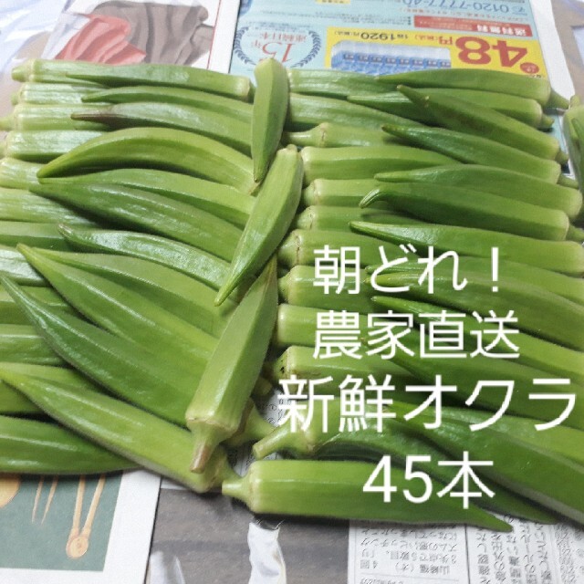 【無農薬】オクラ45本 ポスト投函 食品/飲料/酒の食品(野菜)の商品写真