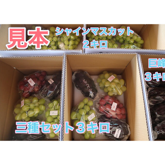 シャインマスカットと天山　家庭用　３キロ　長野県産　減農薬　章わんぱく農園 食品/飲料/酒の食品(フルーツ)の商品写真