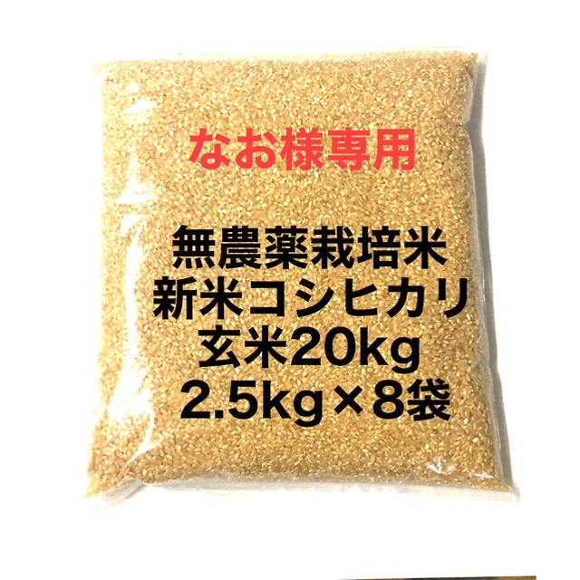 最大72%オフ! 5袋限定 農薬無し純こしひかり30㎏ 玄米 ivv-jva.com