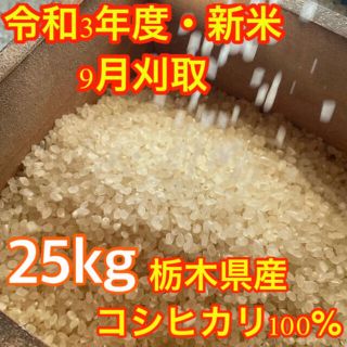 【R3年度新米・玄米25kg】栃木県の指定優良農地で採れたブランド米コシヒカリ(米/穀物)