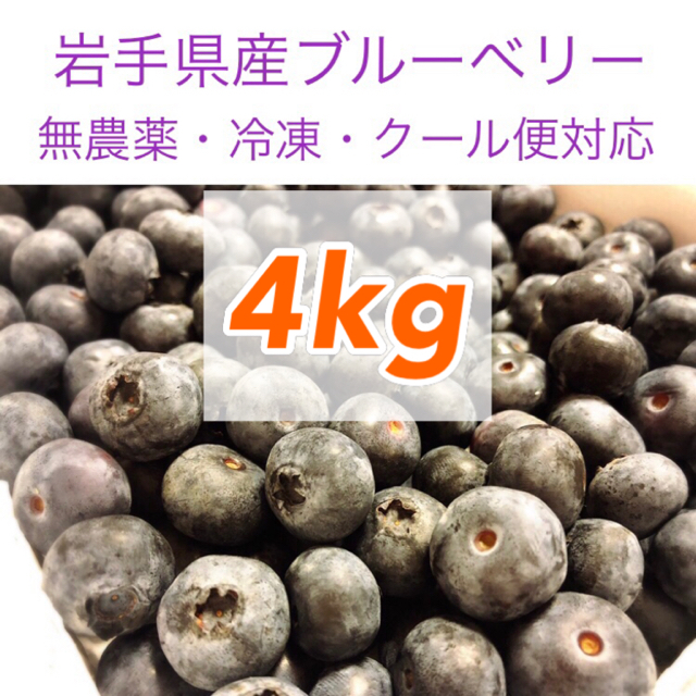 食品/飲料/酒岩手県産ブルーベリー冷凍4kg【無農薬】