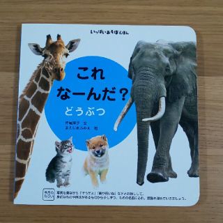 こどもチャレンジベビー 絵本セット(絵本/児童書)