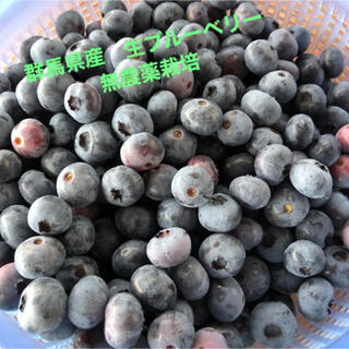  梅桃桜子様⭐︎群馬県産 冷凍ブルーベリー 2キロ(フルーツ)