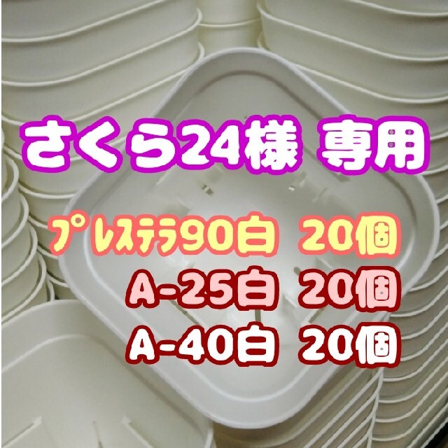 【スリット鉢】プレステラ90白20個 他 多肉植物 プラ鉢 ハンドメイドのフラワー/ガーデン(プランター)の商品写真