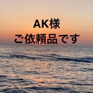 AK様 ご依頼品ですの通販 by NFT 工房|ラクマ