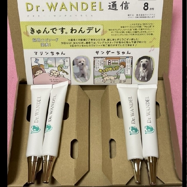 新品 Dr. WANDEL ドクターワンデル 4 本