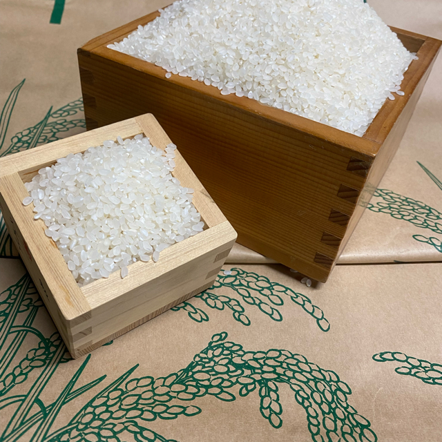 令和3年度　茨城県産　コシヒカリ　10kg   新米 食品/飲料/酒の食品(米/穀物)の商品写真