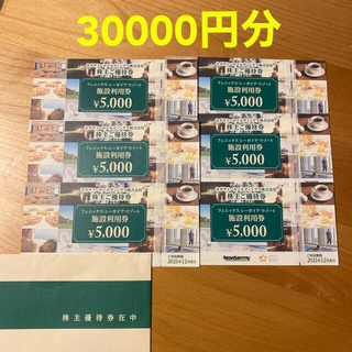 セガ(SEGA)のシーガイア　施設利用券　30000円分　セガサミー　株主優待(その他)