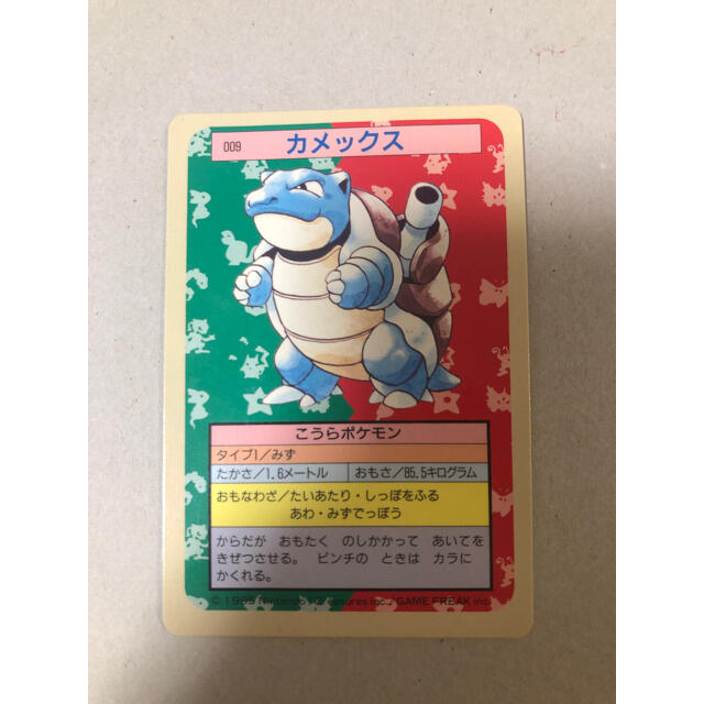 ポケモンカード　トップサン　カメックス　裏面青