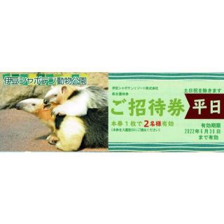 伊豆シャボテン動物公園 平日ペアご招待券(動物園)