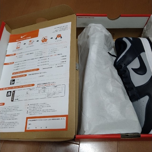 NIKE(ナイキ)のNIKE DUNK low RETRO CHAMPIONSHIP GREY メンズの靴/シューズ(スニーカー)の商品写真