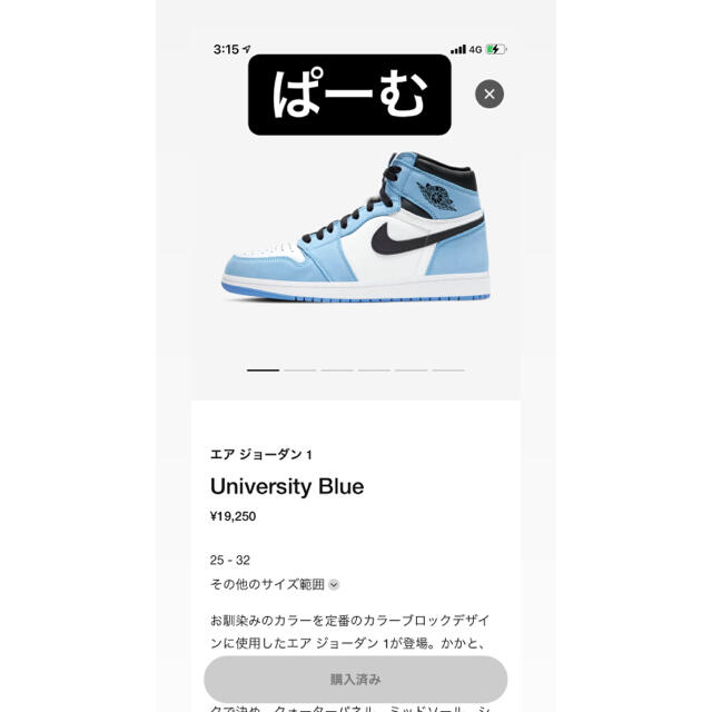 NIKE(ナイキ)のNIKE AIR JORDAN 1 HIGH OG 27.5cm メンズの靴/シューズ(スニーカー)の商品写真