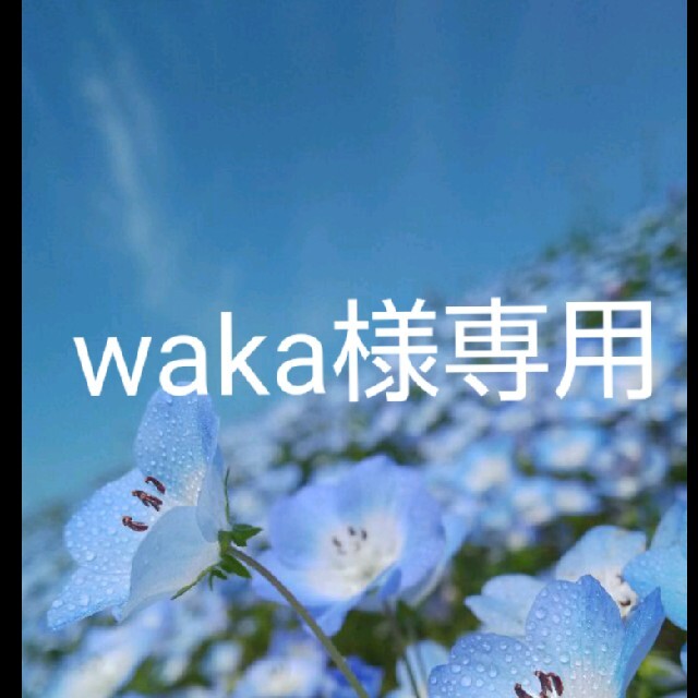 waka様専用 その他のその他(その他)の商品写真