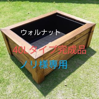 ノリ様専用(アクアリウム)