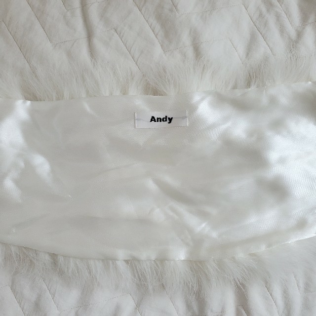 Andy(アンディ)のAndy ショール　アンゴラ レディースのファッション小物(マフラー/ショール)の商品写真