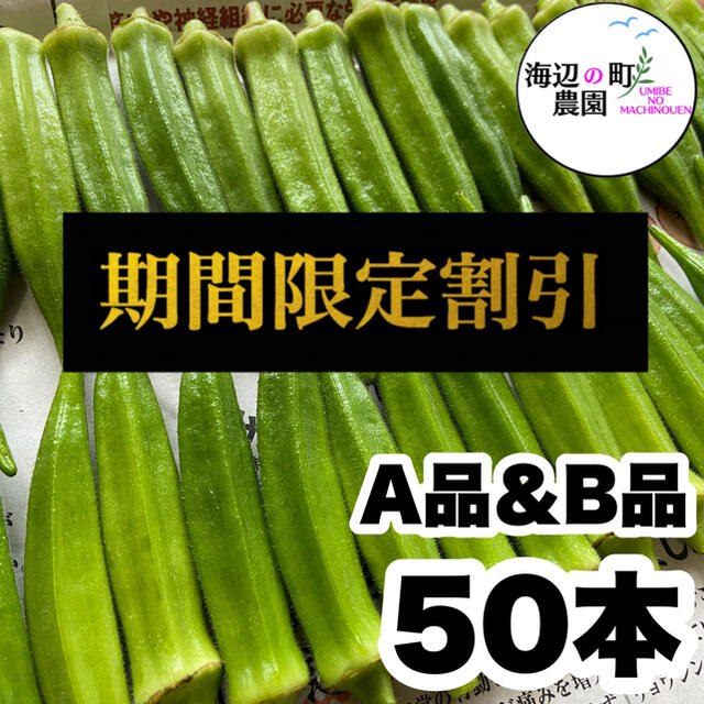 夏野菜【高知県産オクラ】A品&B品　50本　新鮮おくら産地直送　即購入OKです 食品/飲料/酒の食品(野菜)の商品写真