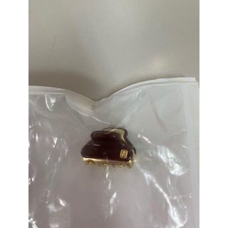 アレクサンドルドゥパリ(ALEXANDRE DE PARIS)の値下済【419】ALEXANDRE DE PARIS ヘアクリップ BROWN(バレッタ/ヘアクリップ)