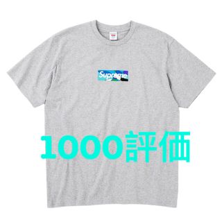 シュプリーム(Supreme)のSupreme Emilio Pucci Box Logo Tee 灰青M(Tシャツ/カットソー(半袖/袖なし))