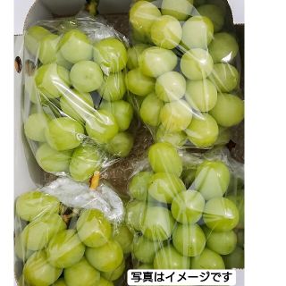 【加工用】規格外シャインマスカット2kg(フルーツ)