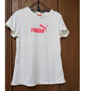 プーマ(PUMA)のTシャツ　プーマ　最終値下げしました！(ウェア)