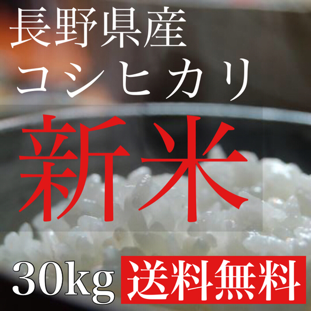 【新米【特A地区】リピーター割あり白米30kg 長野県産コシヒカリ