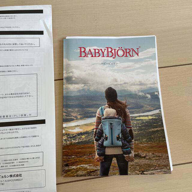 BABYBJORN(ベビービョルン)の中古　BABY BJORN バウンサー キッズ/ベビー/マタニティのキッズ/ベビー/マタニティ その他(その他)の商品写真