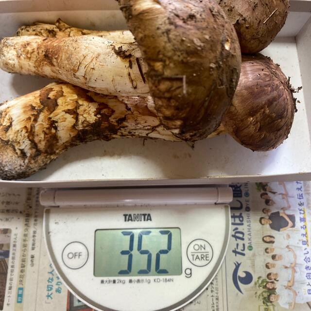 超ポイントバック祭】 本日収穫、松茸 野菜 - batonrougecac.org
