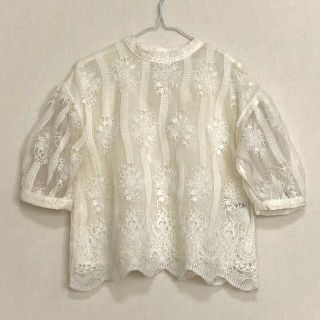 ページボーイ(PAGEBOY)のブラウス トップス プルオーバー　チュールレース　オーガンジー　刺繍(シャツ/ブラウス(長袖/七分))