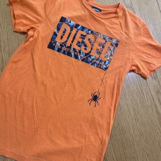 ディーゼル(DIESEL)の35/DIESEL(Tシャツ/カットソー)