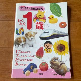 クマノプーサン(くまのプーさん)のプーさんの知育えほん　わくわく１歳　ディズニー(絵本/児童書)