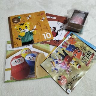 届きたて!  いろりん こどもちゃれんじ ぷち10月号 しまじろう(知育玩具)