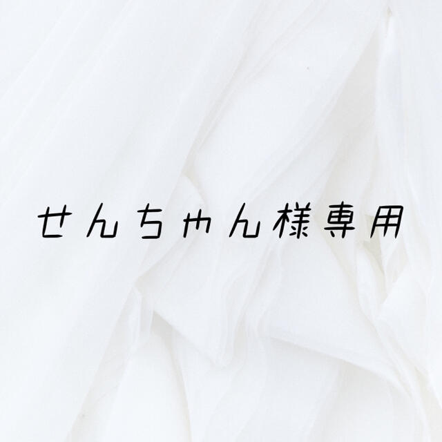 せんちゃん様専用ページ | フリマアプリ ラクマ